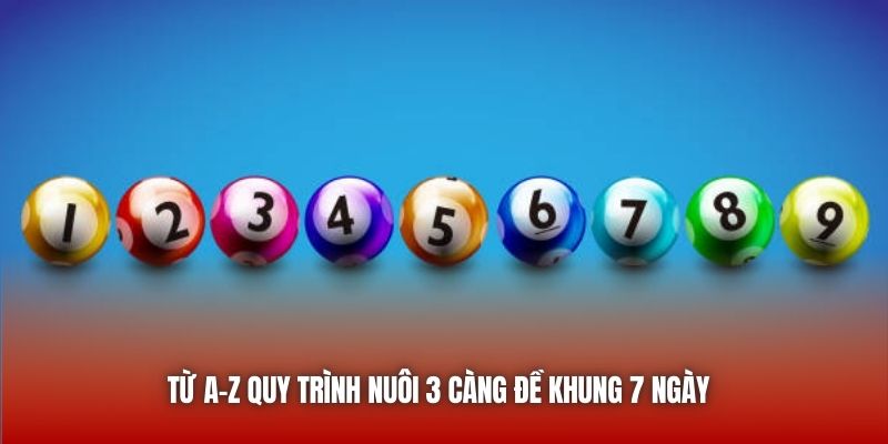 Từ A-Z quy trình nuôi 3 càng đề khung 7 ngày 